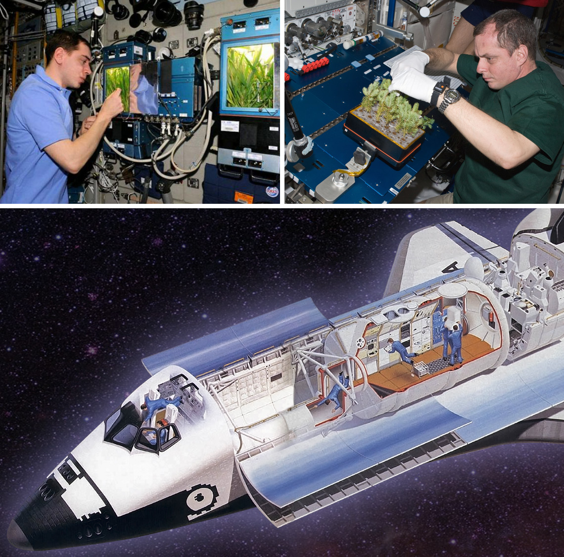 Experiments on the Space Shuttle were conducted in Spacelab.