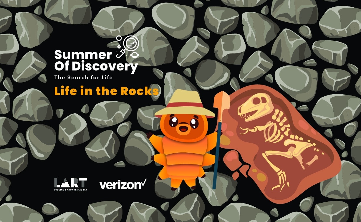 Summer of Discovery