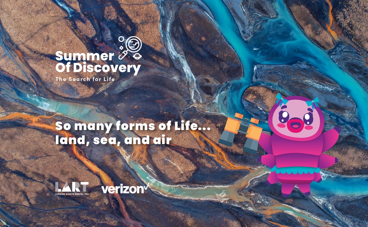 Summer of Discovery - Life