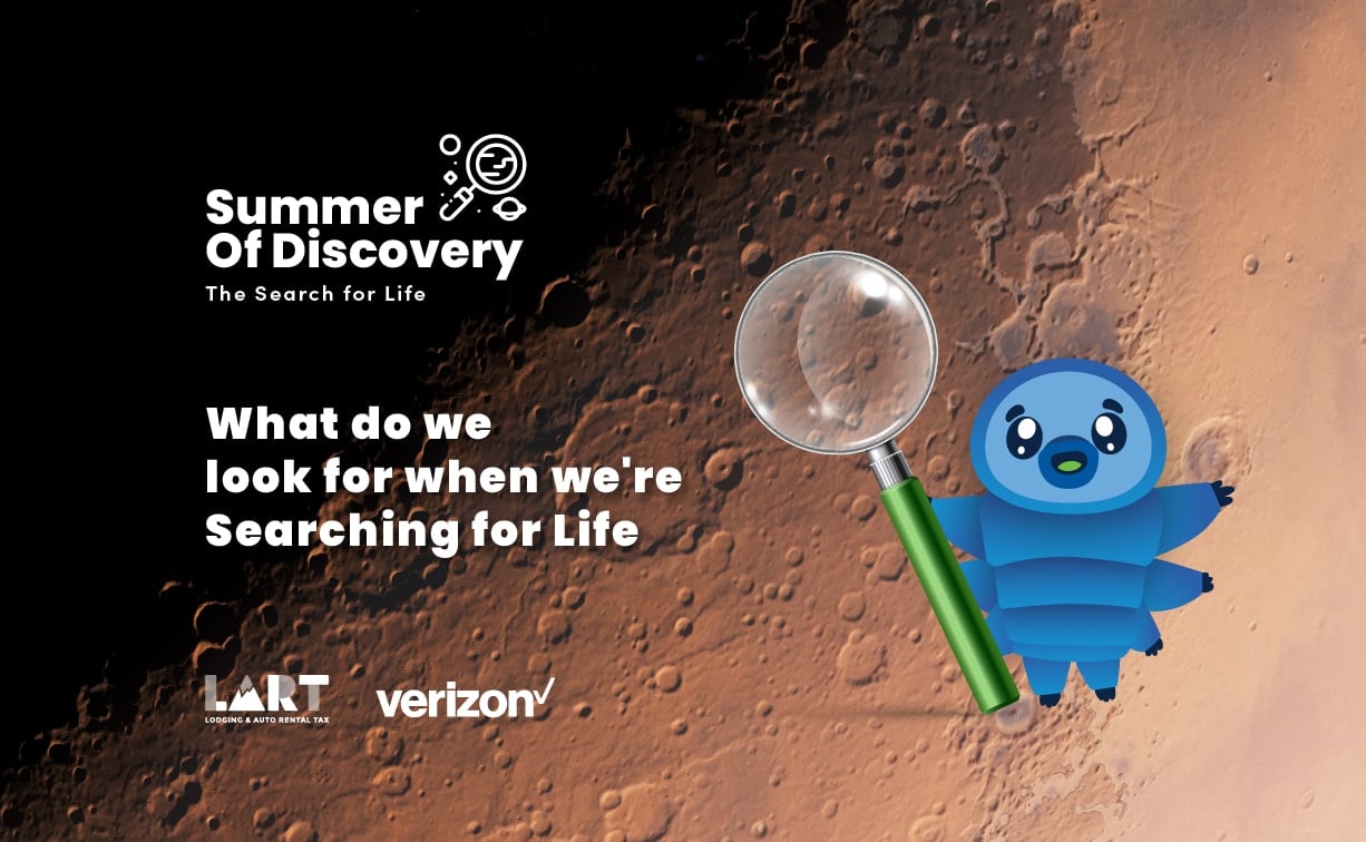 Summer of Discovery - Searching