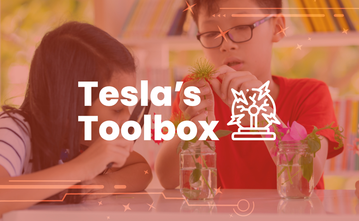 Tesla's Toolbox